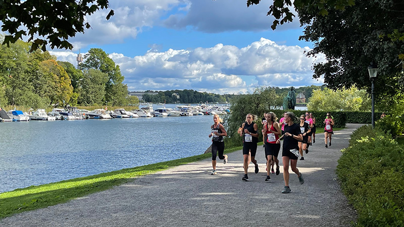 Shopping, pepp & Tjejmilen p� G�rdet